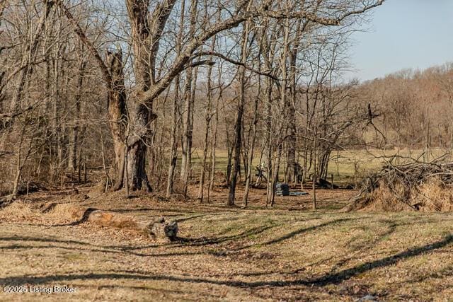 view of local wilderness
