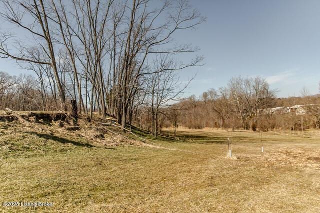 view of local wilderness