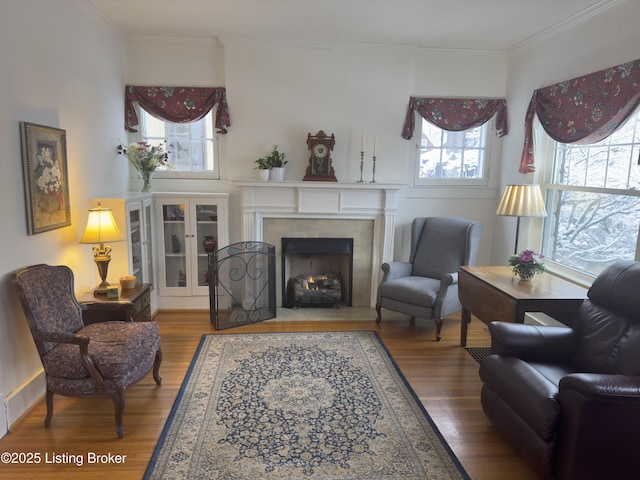 living area featuring a fireplace with flush hearth, wood finished floors, and crown molding