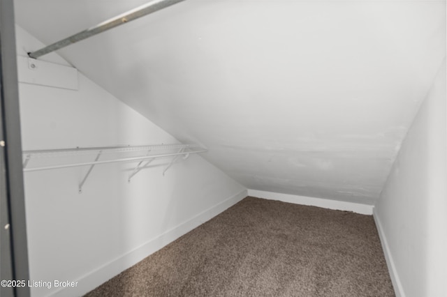 spacious closet with lofted ceiling and carpet flooring