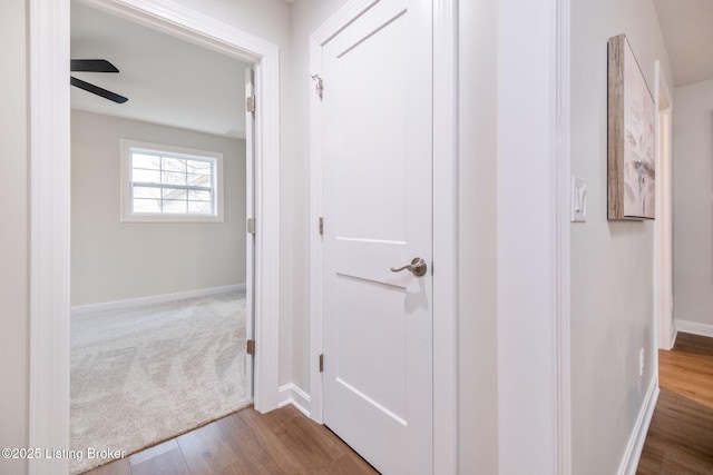 corridor with carpet floors, baseboards, and wood finished floors