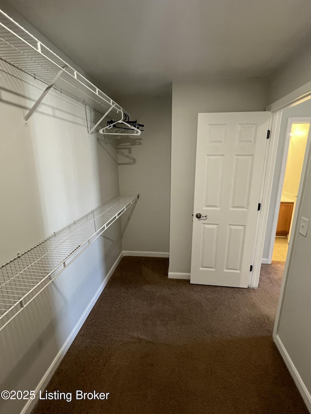 walk in closet featuring dark colored carpet