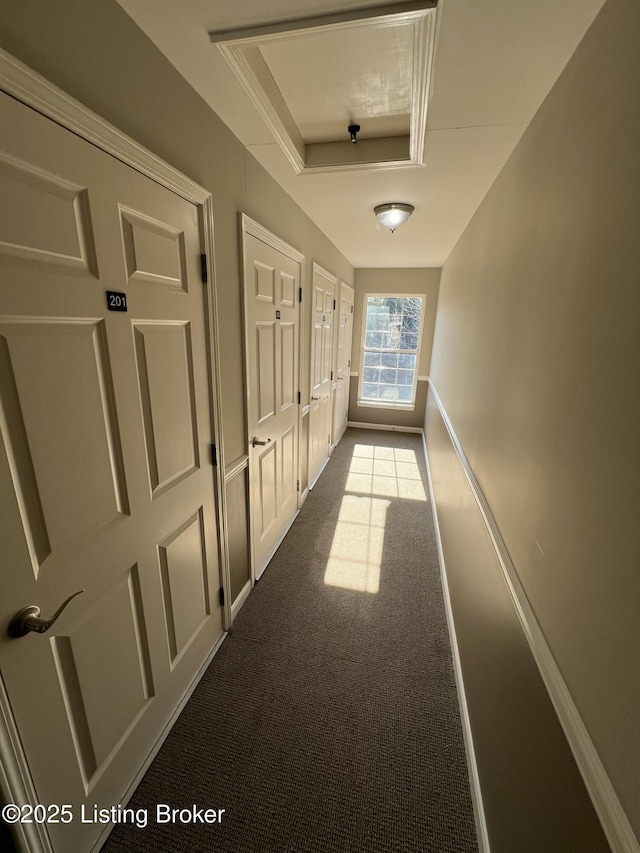 corridor featuring dark colored carpet and a raised ceiling