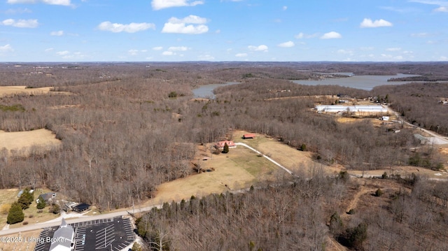 bird's eye view with a forest view