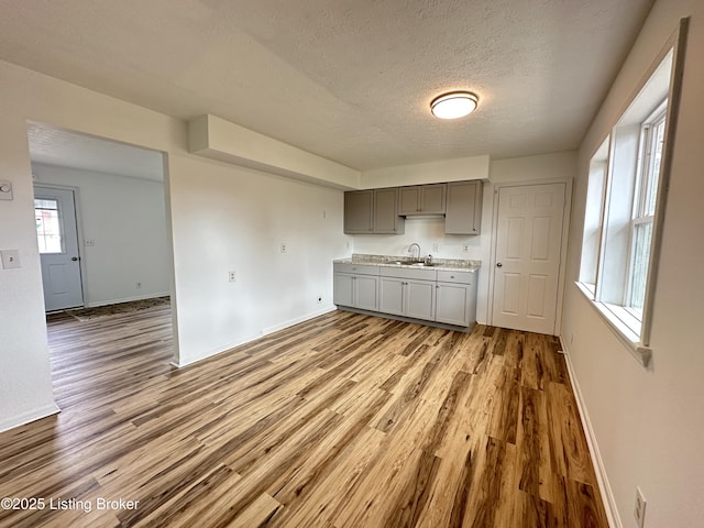 kitchen with a textured ceiling, gray cabinetry, a sink, light countertops, and light wood-type flooring