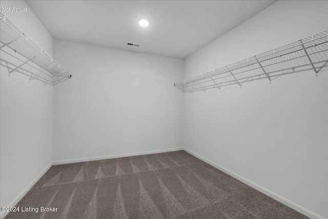 spacious closet featuring visible vents and carpet flooring