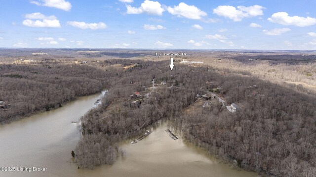 bird's eye view featuring a forest view and a water view