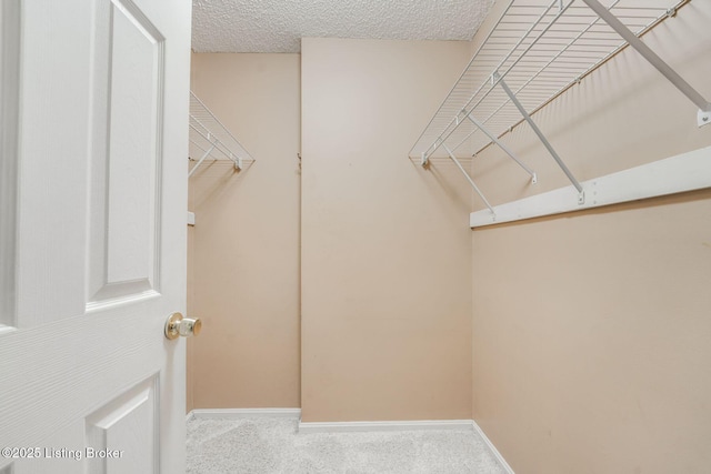 spacious closet with carpet flooring