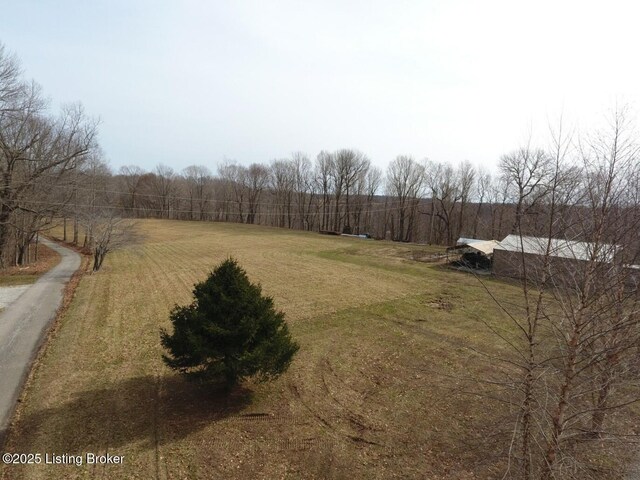 L21126 Thomason Cemetery Rd, Leitchfield, KY 42754 - photo 3