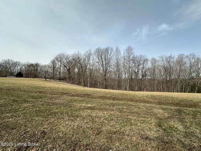 L21126 Thomason Cemetery Rd, Leitchfield, KY 42754 - photo 10
