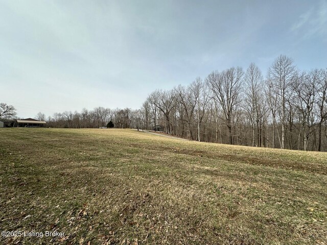 L21126 Thomason Cemetery Rd, Leitchfield, KY 42754 - photo 11
