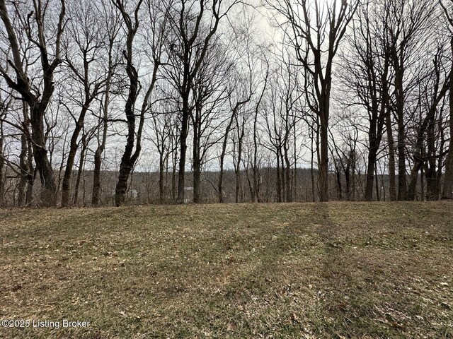 L21126 Thomason Cemetery Rd, Leitchfield, KY 42754 - photo 12