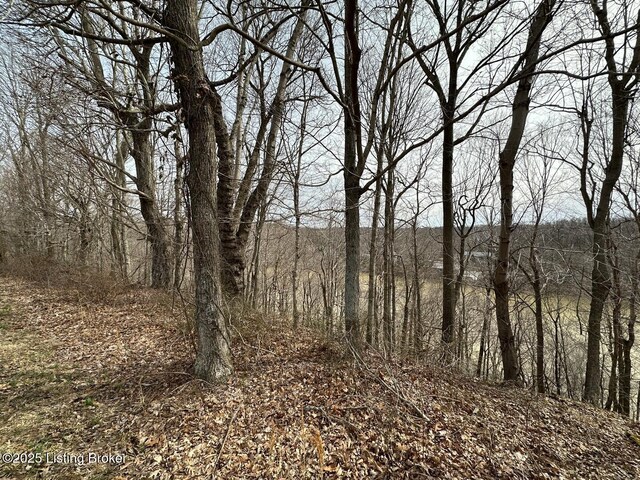 L21126 Thomason Cemetery Rd, Leitchfield, KY 42754 - photo 13