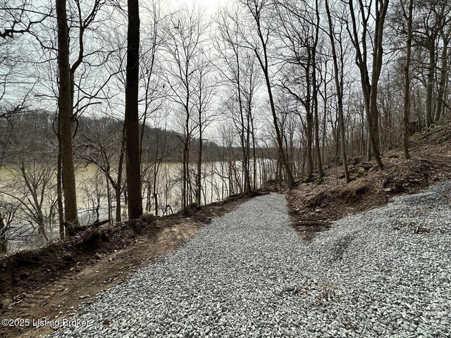 L21126 Thomason Cemetery Rd, Leitchfield, KY 42754 - photo 14