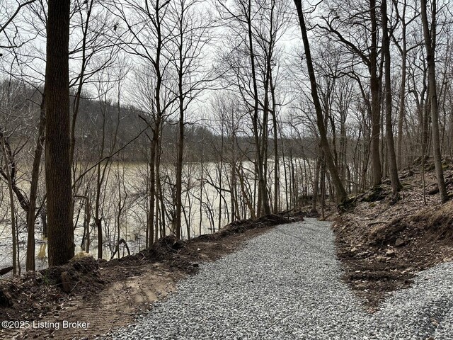 L21126 Thomason Cemetery Rd, Leitchfield, KY 42754 - photo 15