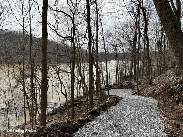 L21126 Thomason Cemetery Rd, Leitchfield, KY 42754 - photo 16