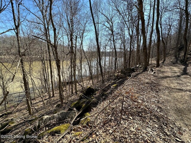 L21126 Thomason Cemetery Rd, Leitchfield, KY 42754 - photo 17