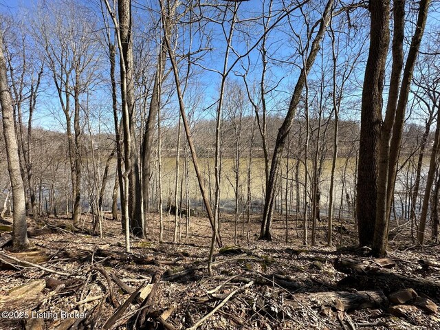 L21126 Thomason Cemetery Rd, Leitchfield, KY 42754 - photo 20