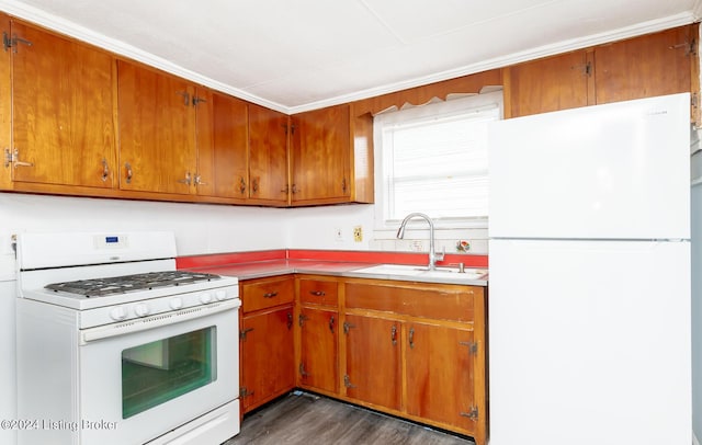 kitchen featuring brown cabinetry, white appliances, dark wood-type flooring, and a sink