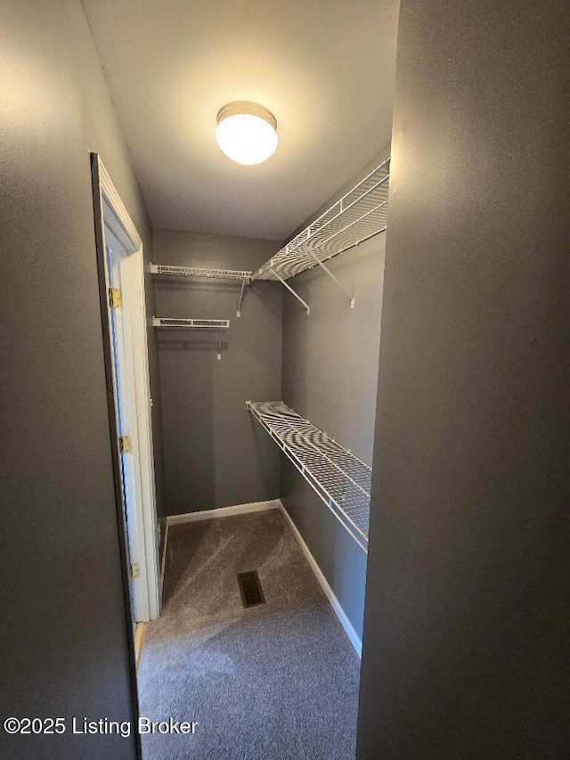 walk in closet featuring carpet and visible vents