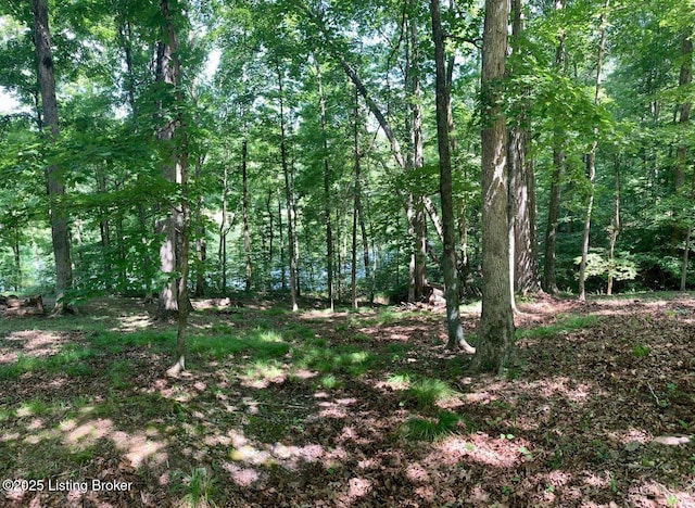 LOT58 Lake Forest Shrs, Westview KY, 40178 land for sale