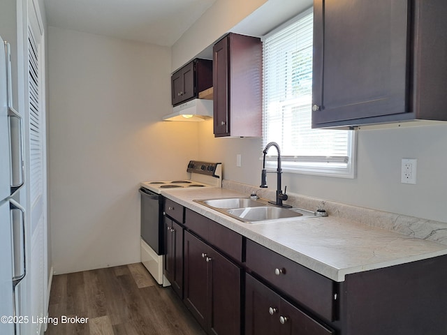 kitchen featuring dark wood-style flooring, electric range, a sink, under cabinet range hood, and fridge