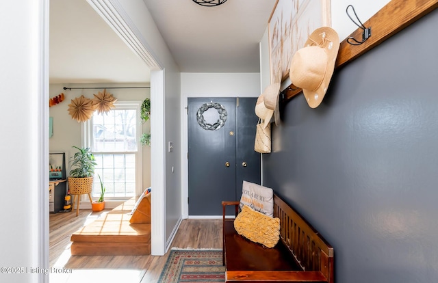 mudroom featuring baseboards and wood finished floors