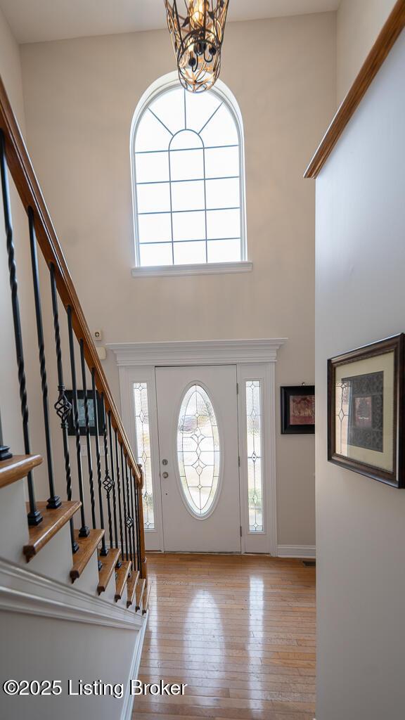 foyer with plenty of natural light, wood finished floors, and a towering ceiling