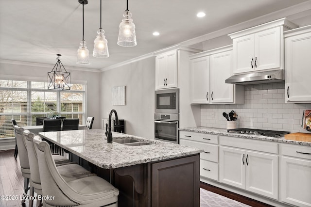 kitchen featuring crown molding, tasteful backsplash, appliances with stainless steel finishes, a sink, and under cabinet range hood