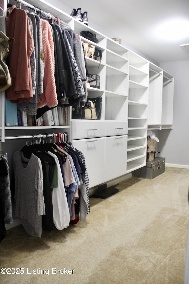 walk in closet with carpet