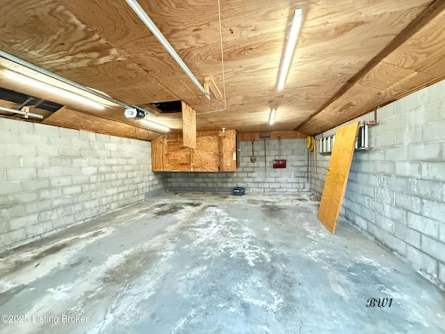 basement with concrete block wall