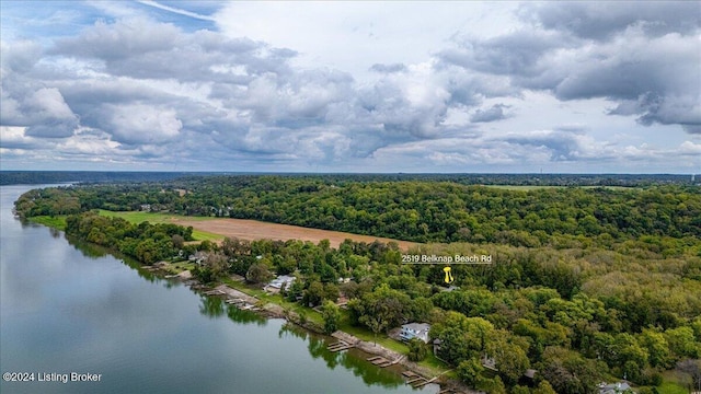 aerial view featuring a water view and a view of trees