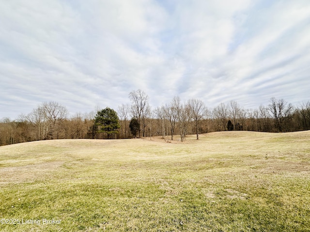 view of yard featuring a rural view