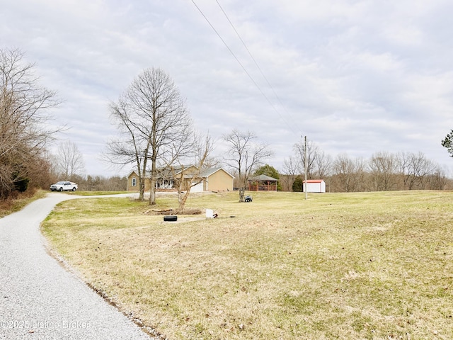 view of yard featuring driveway