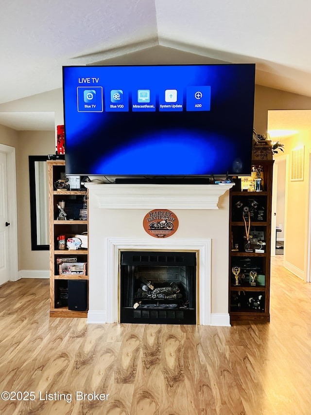 details featuring baseboards, wood finished floors, and a fireplace