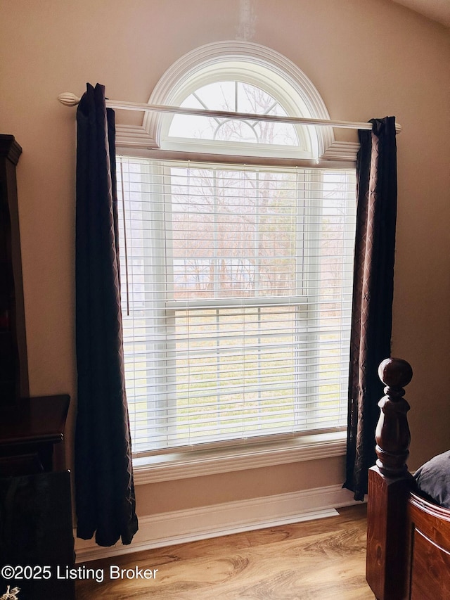 details featuring wood finished floors