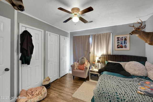 bedroom with two closets, visible vents, ornamental molding, ceiling fan, and wood finished floors