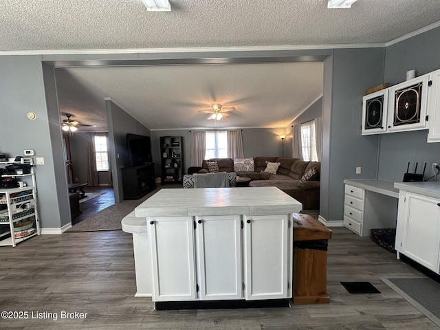 kitchen featuring ornamental molding, lofted ceiling, open floor plan, and white cabinets