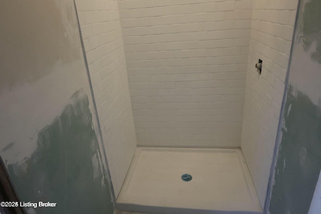 bathroom with a stall shower