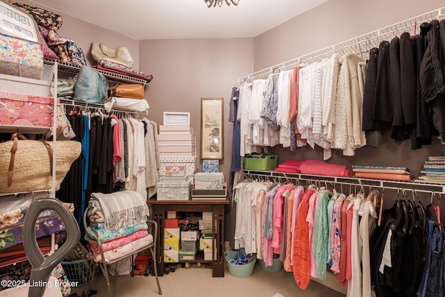 walk in closet featuring carpet floors