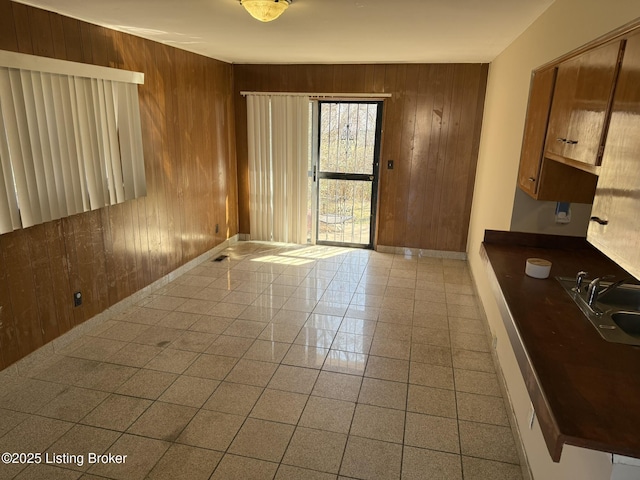 interior space with a sink, wooden walls, and baseboards