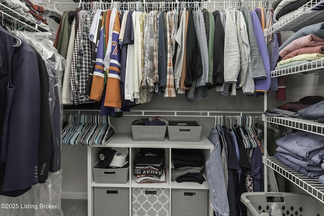 view of spacious closet