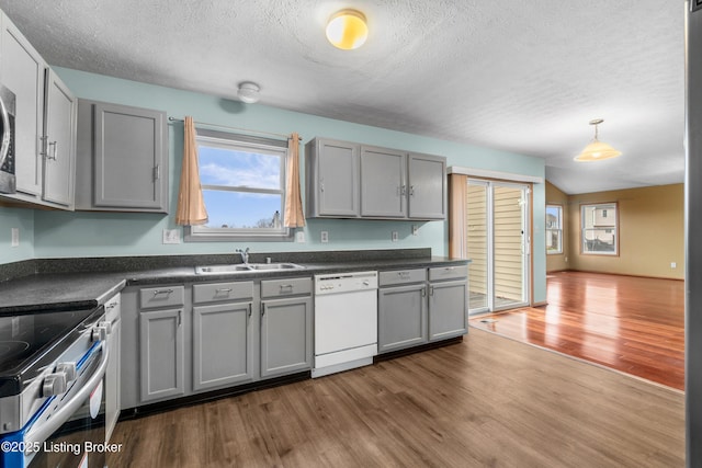 kitchen featuring dark wood finished floors, gray cabinets, a sink, dishwasher, and dark countertops