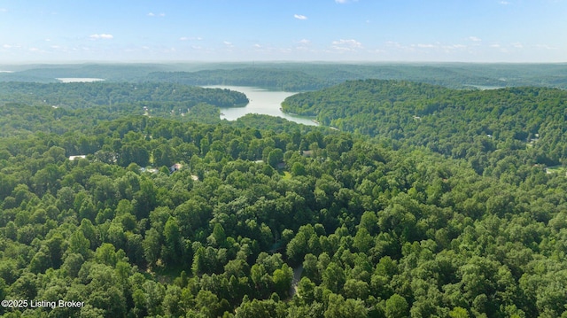 aerial view featuring a view of trees and a water view