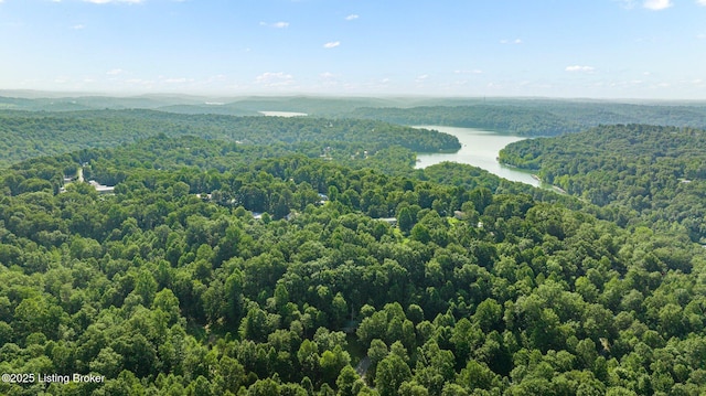 bird's eye view featuring a wooded view and a water view