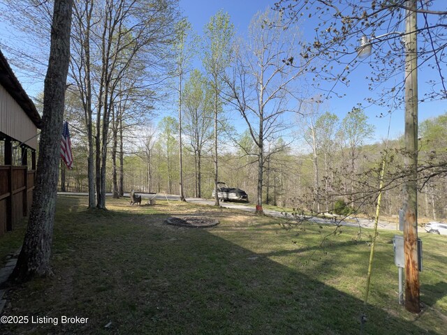 view of yard