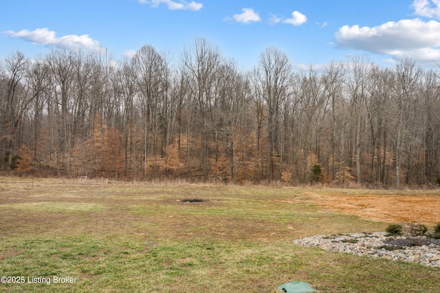 view of yard featuring a view of trees