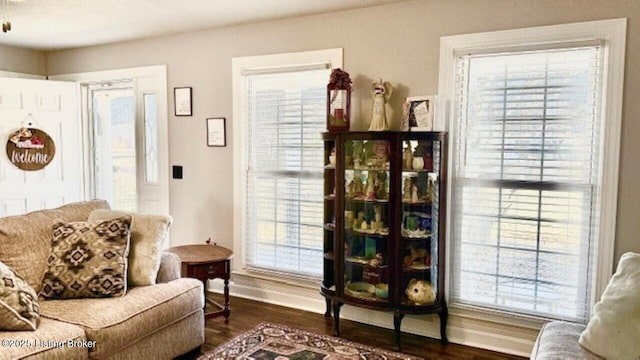 living area featuring dark wood finished floors