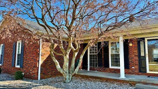 view of side of home featuring brick siding