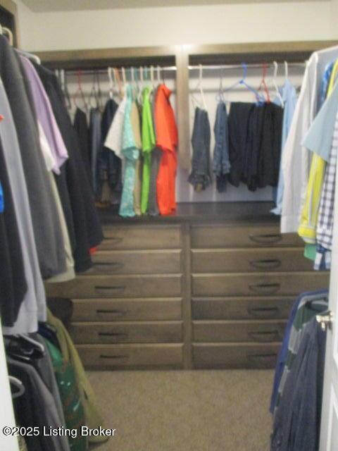 111 Pete Ln, Bardstown, KY 40004 - view of walk in closet